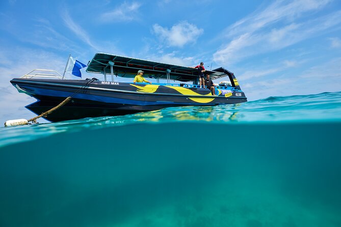 Cairns Half Day Tour a Great Barrier Reef Snorkeling Experience - Who will get the most from this half-day tour?