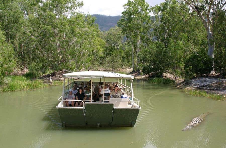 Cairns: Hartley's Crocodile Adventures Visit with Transfer - Key points at a glance
