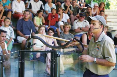 Hartley’s Crocodile Adventures Visit with Transfer