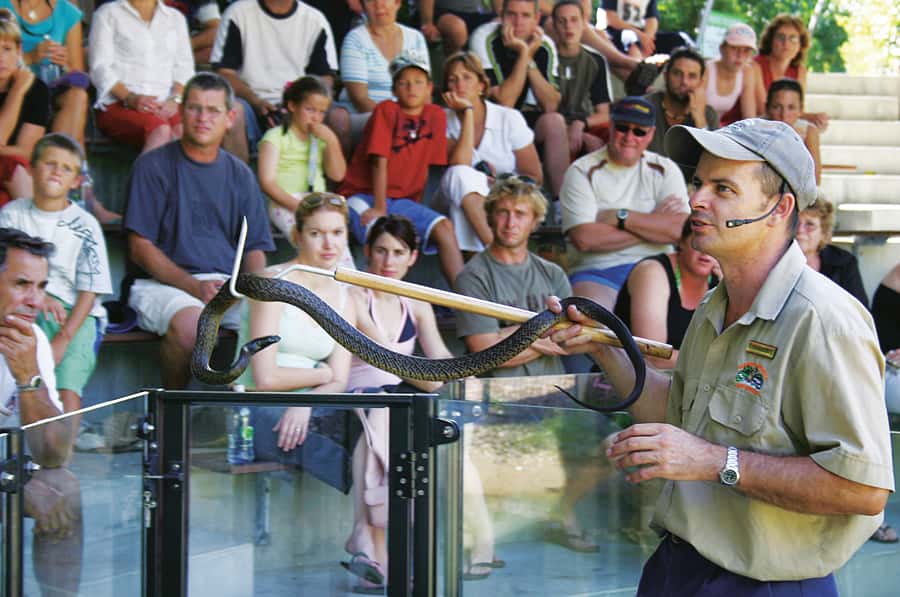 Cairns: Hartley's Crocodile Adventures Visit with Transfer - The coach ride along the Captain Cook Highway