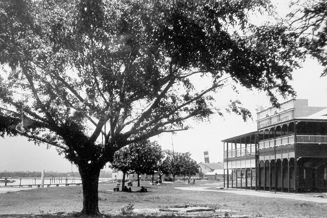 Cairns History Walking Tour - Crystal Ball Bookstore and Cairns Chinatown