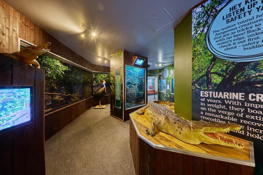 Cairns Koalas and Creatures Entry Ticket with Koala Photo - Key points to know before you go