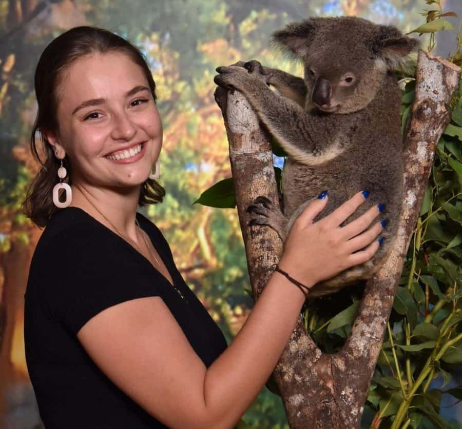 Cairns Koalas and Creatures Entry Ticket with Koala Photo - The koala encounter and souvenir photo