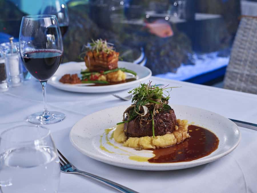 Cairns: Night at the Aquarium Guided Tour & 2 Course Dinner - Why Cairns Aquarium feels different after dark