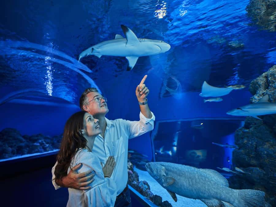 Cairns: Night at the Aquarium Guided Tour & 2 Course Dinner - Rainforest animals after sunset