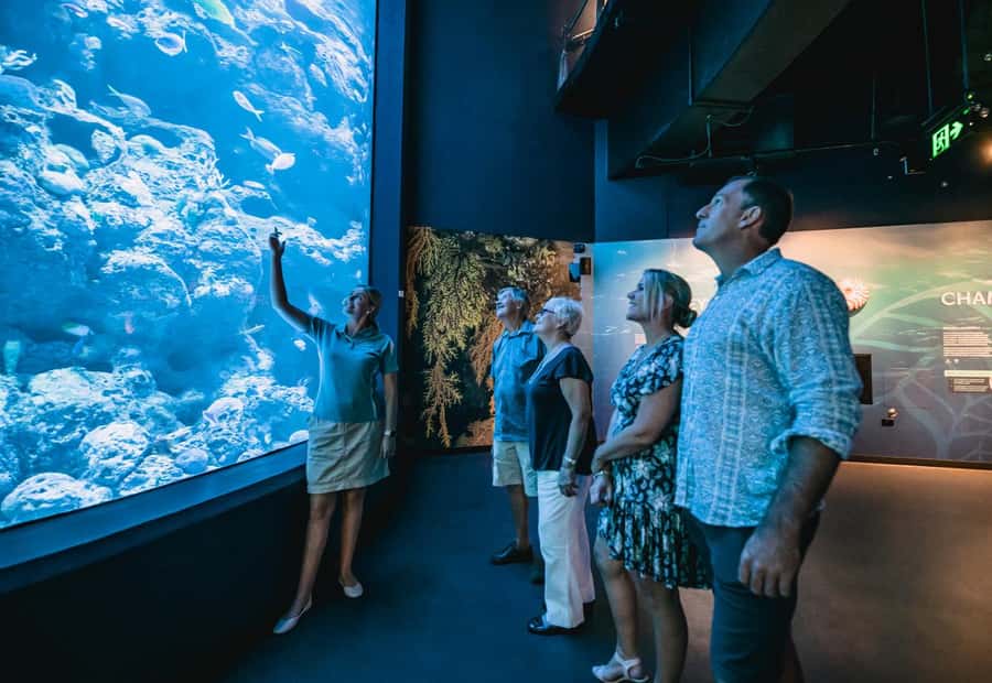 Cairns: Night at the Aquarium Guided Tour & 2 Course Dinner - What the night coral display adds