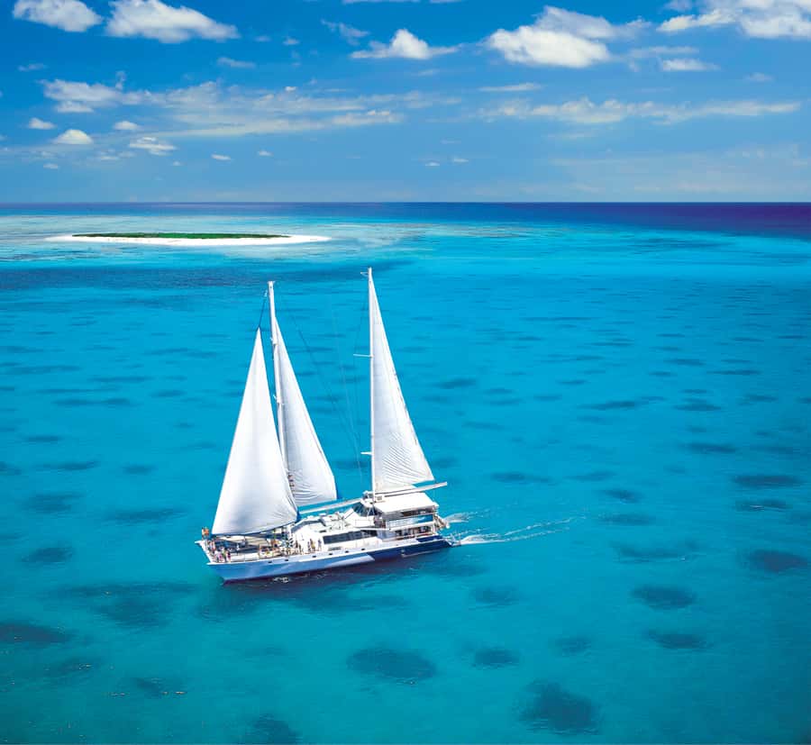 Cairns: Ocean Spirit Great Barrier Reef Full Day Tour - Sailing from Cairns on the Ocean Spirit