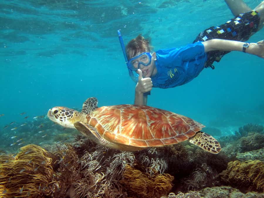 Cairns: Ocean Spirit Great Barrier Reef Full Day Tour - Four hours to choose your own reef day