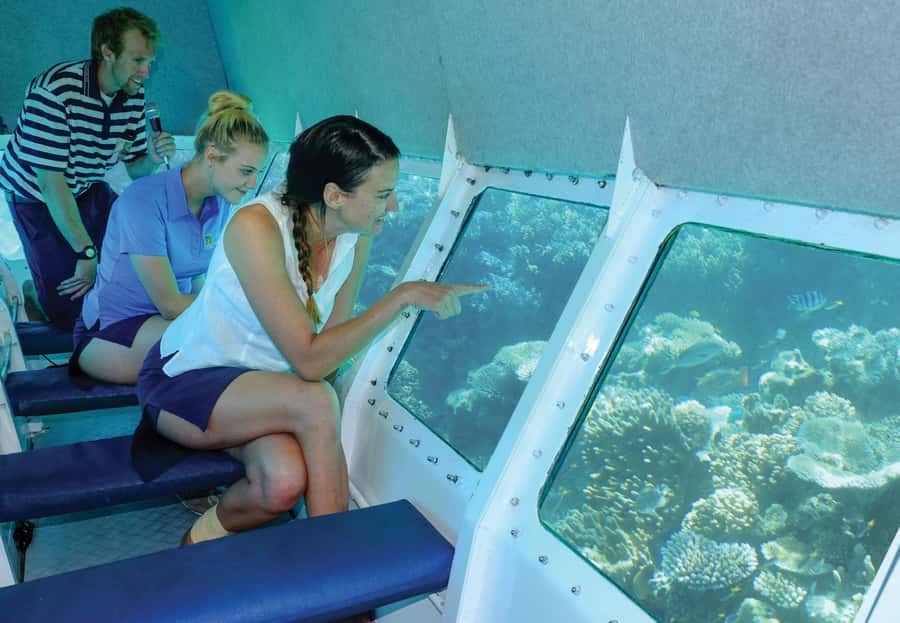 Cairns: Ocean Spirit Great Barrier Reef Full Day Tour - Food, rest, and the trip back to Cairns