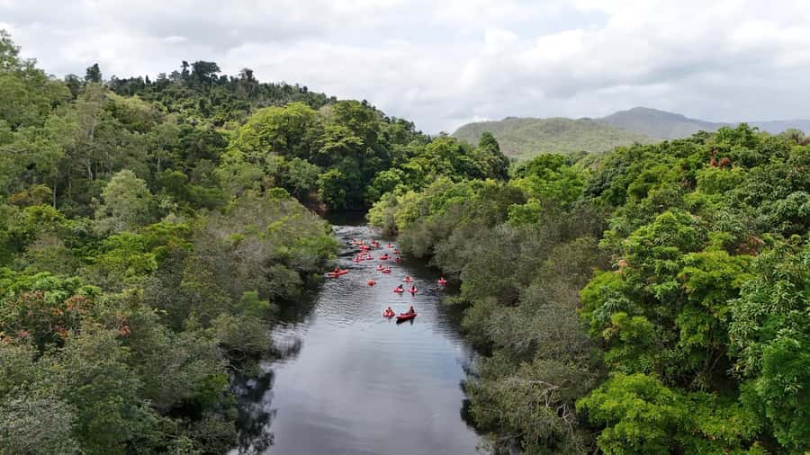 Cairns or Northern Beaches: Rainforest River Tubing - Small rapids, not a white-water challenge