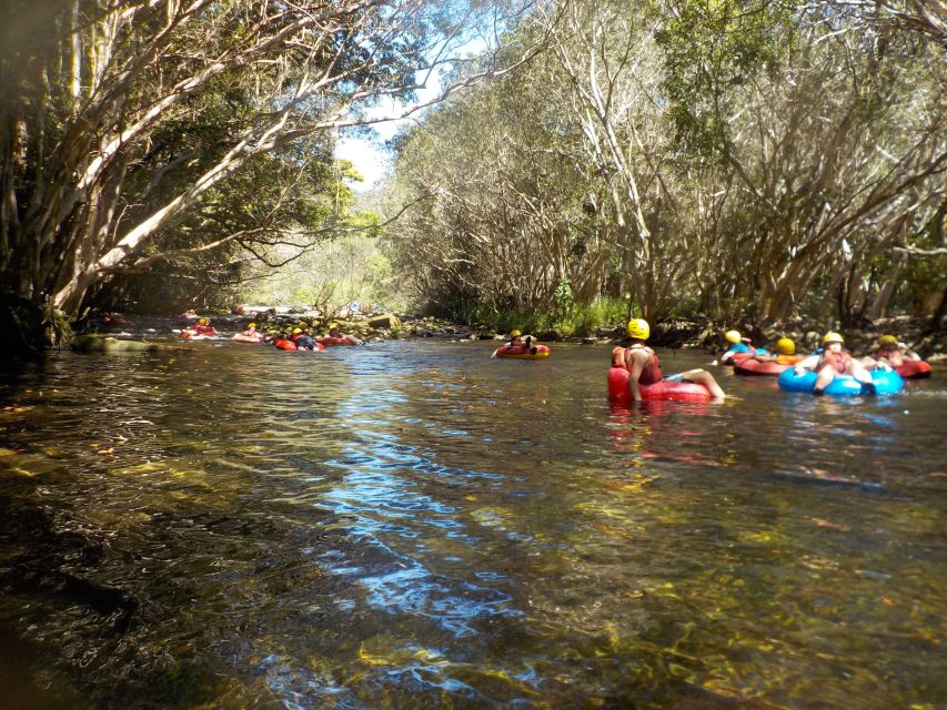 Cairns or Northern Beaches: Rainforest River Tubing - Practical tips for a smoother day