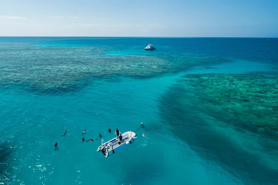 Cairns: Outer and Coral Cay Snorkel and Dive Cruise - Why the six-hour reef stay matters