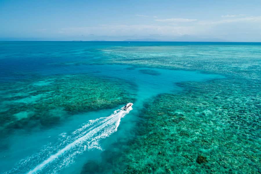 Cairns: Outer and Coral Cay Snorkel and Dive Cruise - Wonder Wall, the first reef stop