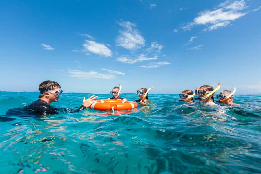 Cairns: Outer and Coral Cay Snorkel and Dive Cruise - The glass-bottom boat is more than a consolation prize