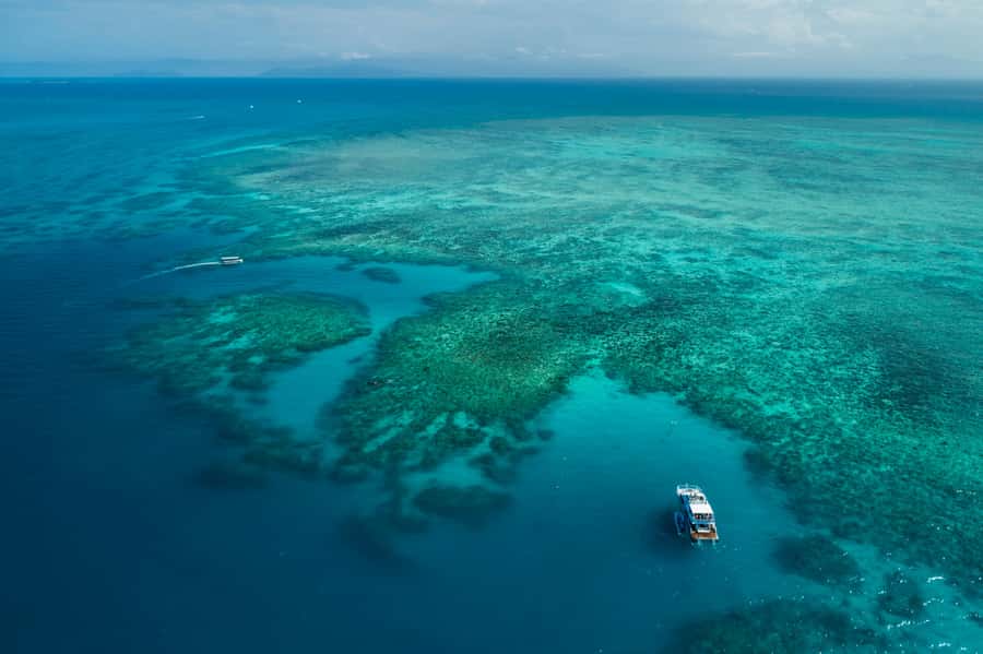 Cairns: Outer and Coral Cay Snorkel and Dive Cruise - Lunch, afternoon snacks, and the value of the fare