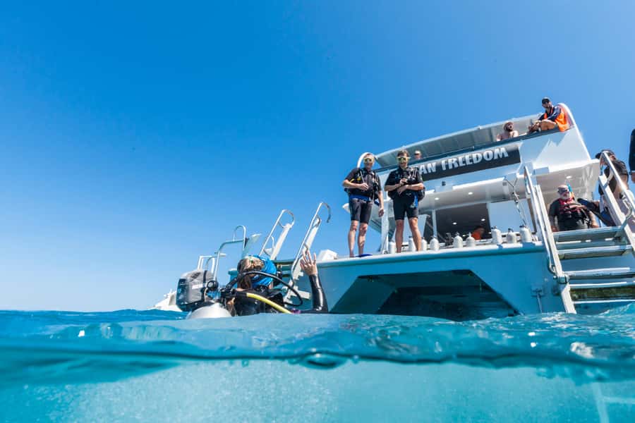 Cairns: Outer and Coral Cay Snorkel and Dive Cruise - How the day unfolds from Cairns