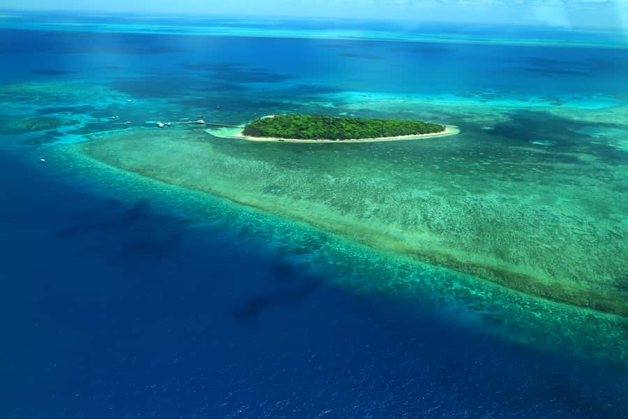Cairns: Outer Edges of The Great Barrier Reef Scenic Flight - Why seeing the reef from the sky matters
