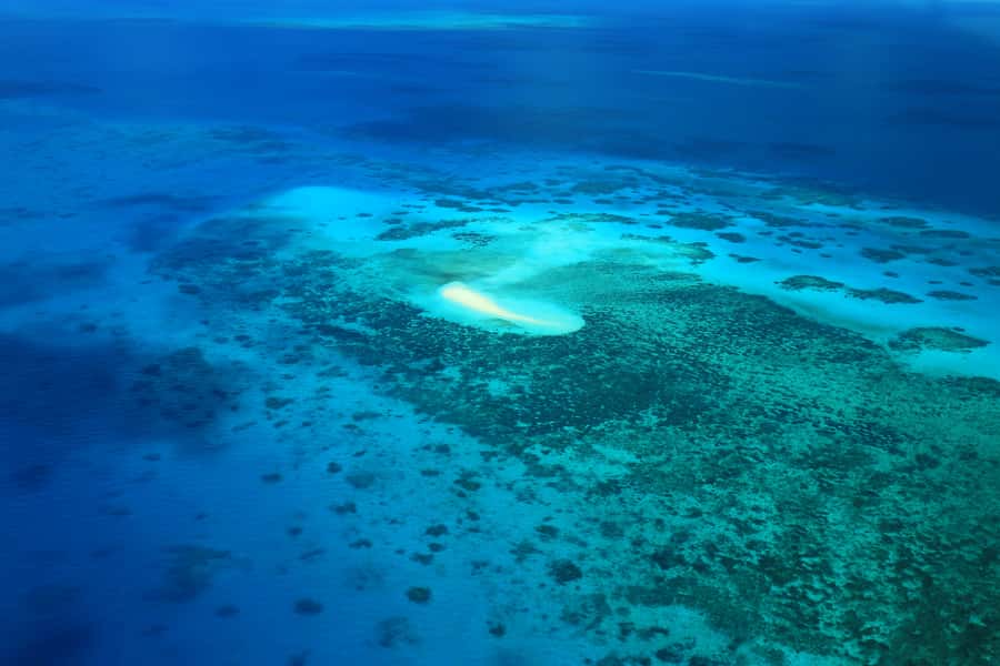 Cairns: Outer Edges of The Great Barrier Reef Scenic Flight - Pilot commentary and the human side of the flight