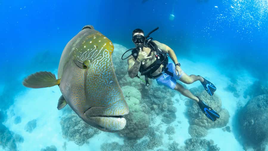 Cairns: Outer Great Barrier Reef Full-Day Tour with Lunch - Saxon Reef: your first two hours in the water