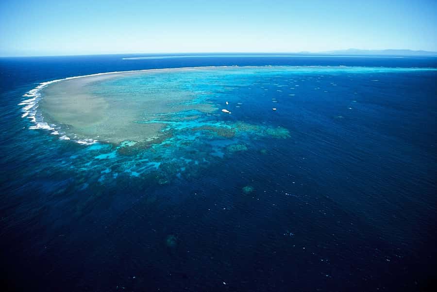 Cairns: Outer Great Barrier Reef Full-Day Tour with Lunch - Hastings Reef: a second chance for clear water