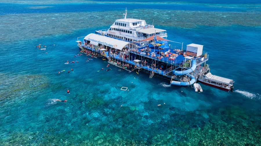 Cairns: Outer Great Barrier Reef Pontoon with Activities - A full day on the Great Barrier Reef