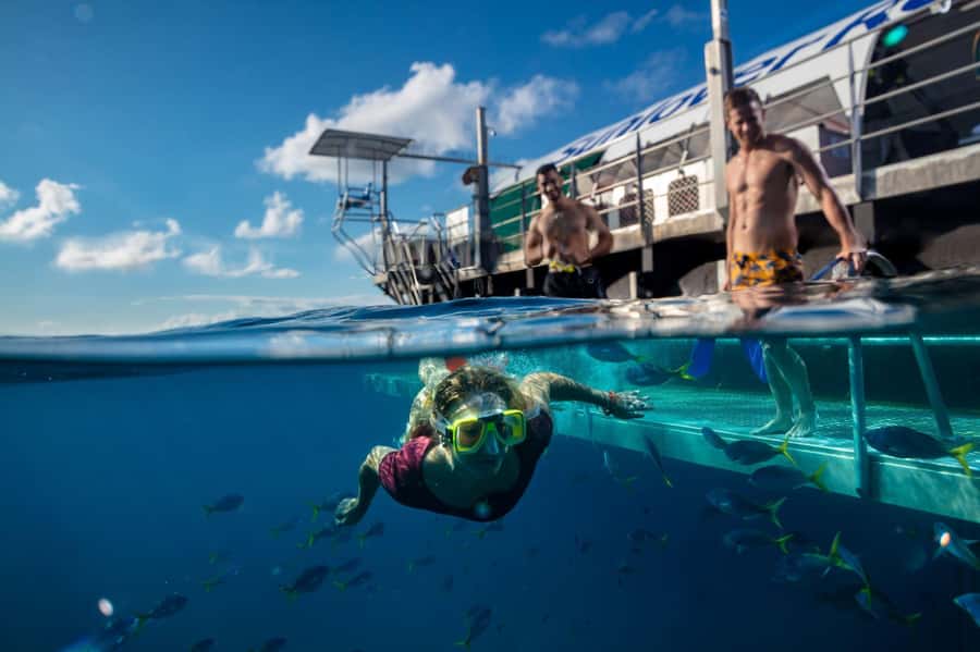Cairns: Outer Great Barrier Reef Pontoon with Activities - Four hours at the Moore Reef pontoon