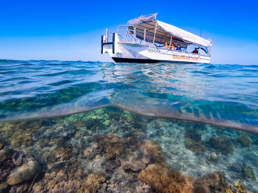 Cairns: Outer Great Barrier Reef Pontoon with Activities - Who will get the most from this tour?