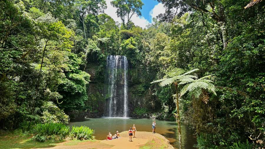 Cairns: Paronella, Lake Barrine & Millaa Millaa Falls Tour - Yungaburra and the remarkable Curtain Fig Tree