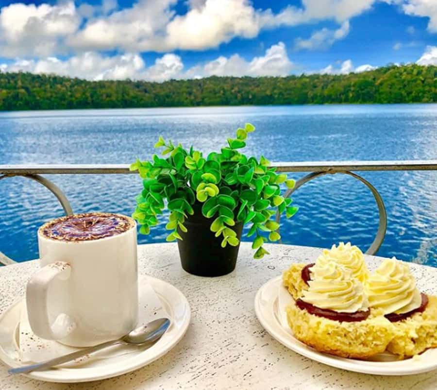 Cairns: Paronella, Lake Barrine & Millaa Millaa Falls Tour - Paronella Park and the story behind the ruins