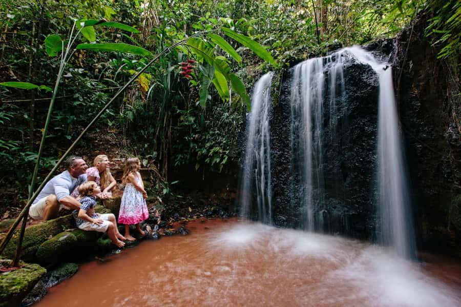 Cairns: Paronella Park Ticket - What happens during the first three hours