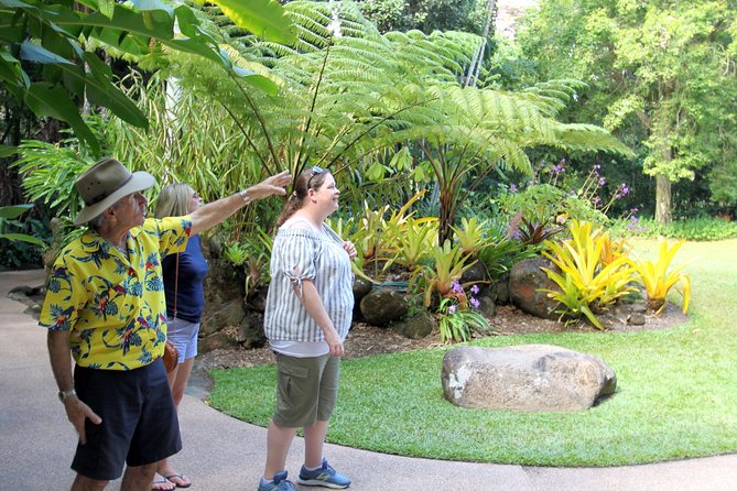 Cairns Shore Excursion: Cairns City Sights & Surrounds Tour - What the guides add to the experience