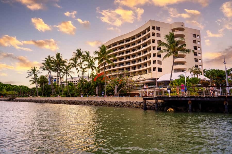 Cairns: Sightseeing River Boat Safari with Soft Drinks - From the Marina to the Mangrove Shores