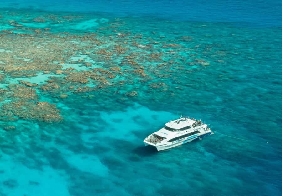 Cairns: Silverswift 3 Great Barrier Reef Sites in 1 Day - What the boat ride is really like