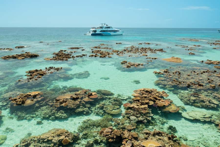 Cairns: Silverswift 3 Great Barrier Reef Sites in 1 Day - Who gets the most from this Cairns reef trip?