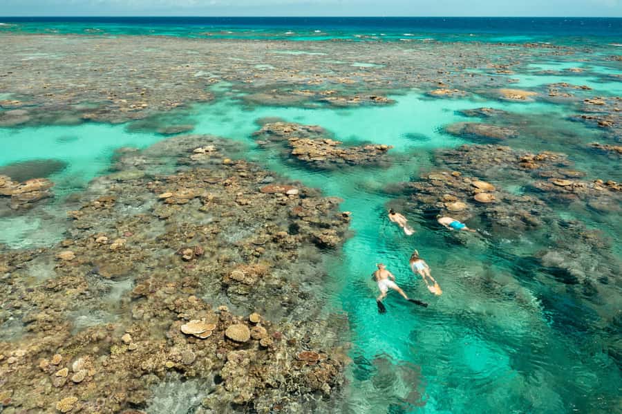 Cairns: Silverswift 3 Great Barrier Reef Sites in 1 Day - First stop: your first look beneath the surface