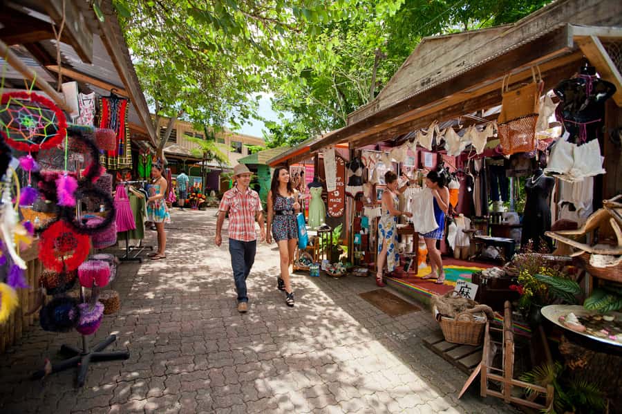 Cairns: Skyrail, Kuranda, and Rail Tour with Hotel Transfers - Skyrail gives you the big rainforest picture