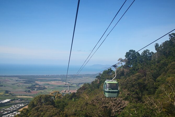 Cairns Small-Group Kuranda Tour: Skyrail & Scenic Railway - Why the Skyrail and railway pairing works so well