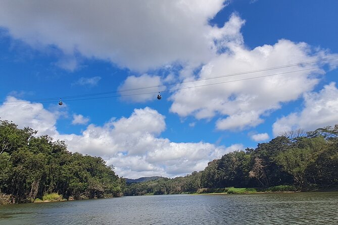 Cairns Small-Group Kuranda Tour: Skyrail & Scenic Railway - Who will enjoy this Kuranda day trip?
