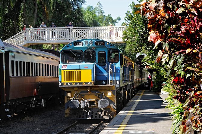 Cairns Small-Group Kuranda Tour: Skyrail & Scenic Railway - Skyrail Red Peak: the rainforest from above