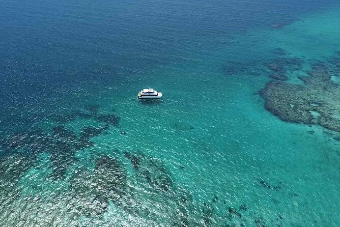 Cairns: Small Group | Outer Reef Snorkel & Dunk Island - Dunk Island gives the day a welcome change of pace