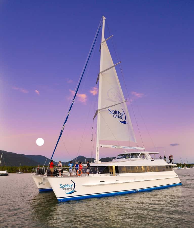 Cairns: Spirit of Cairns Dinner Cruise - Who will enjoy this Cairns dinner cruise most
