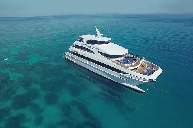 Cairns Super Saver: Reef Cruise, Daintree & Kuranda Rail/Skyrail - Kuranda Scenic Railway and Skyrail in one rainforest day