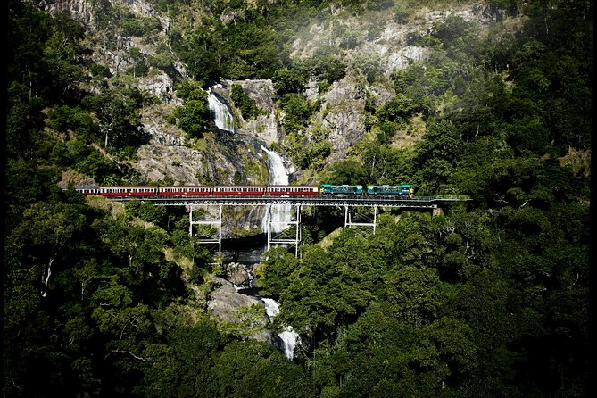 Cairns Super Saver: Reef Cruise, Daintree & Kuranda Rail/Skyrail - Daintree, Mossman Gorge, and Cape Tribulation by 4WD
