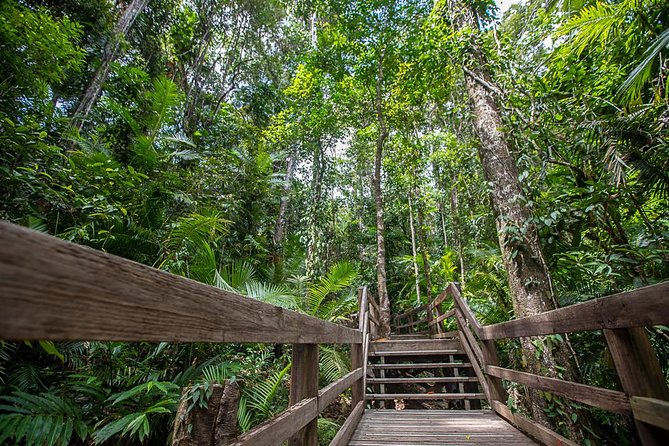 Cairns Super Saver: Reef Cruise, Daintree & Kuranda Rail/Skyrail - Planning the three days without stress