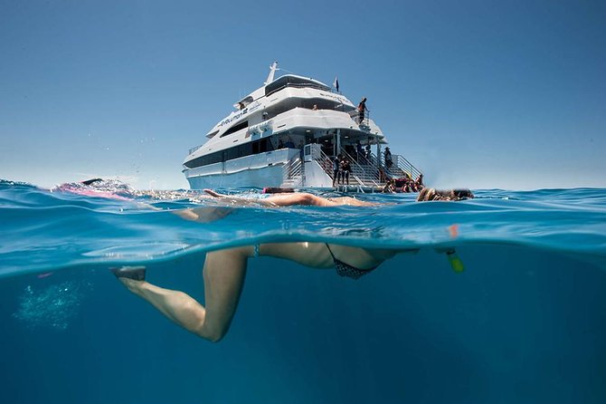 Cairns Super Saver: Reef Cruise, Daintree & Kuranda Rail/Skyrail - Five hours over the outer Great Barrier Reef
