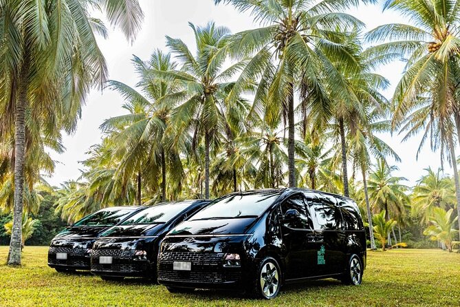 Cairns to Port Douglas ONE WAY Private Transfer 6 pax - What the private vehicle is like