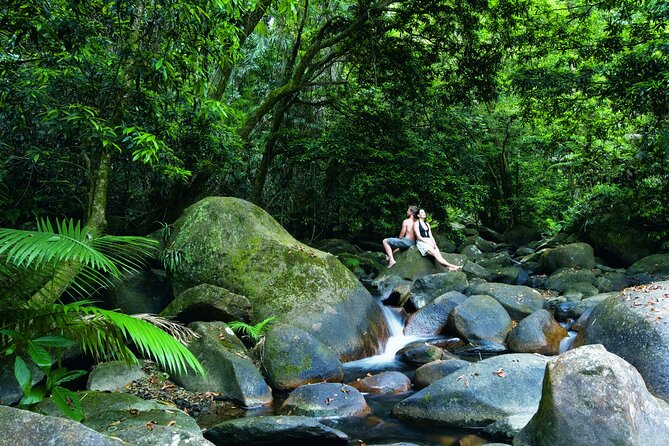 Cairns to Port Douglas ONE WAY Private Transfer 6 pax - Local tips that can improve your first evening