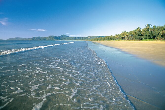 Cairns to Port Douglas ONE WAY Private Transfer 6 pax - The price and the value for a group of six