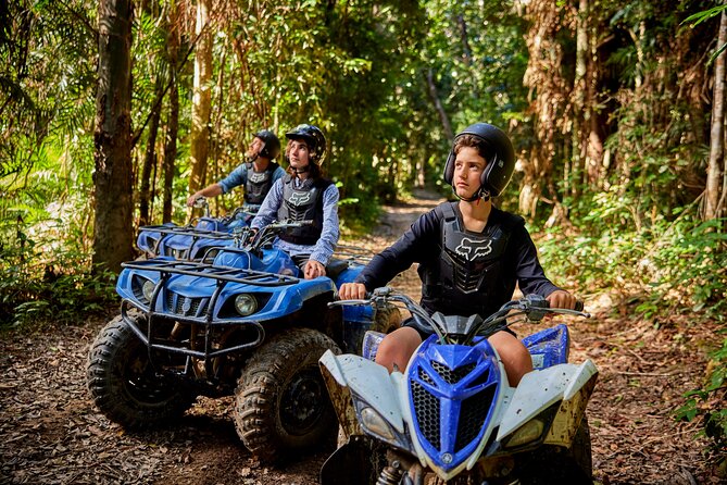 Cairns Trinity Inlet Sightseeing Safari - A guide-led trip with room for questions