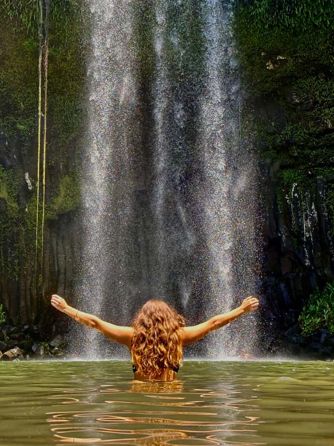 Cairns: Waterfall Tour with Lunch - Cathedral Fig Tree and a cultural beginning